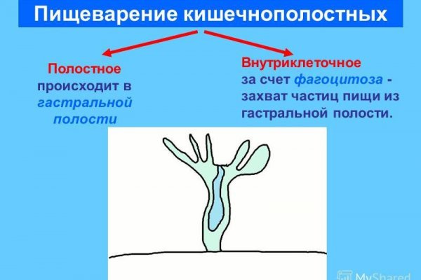 Кракен онион ссылка на тор