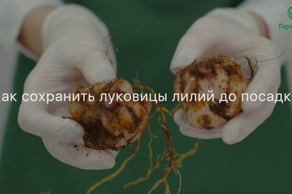 Кракен это что за сайт