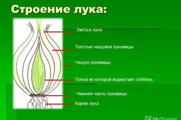 Кракен сайт даркнет зеркало