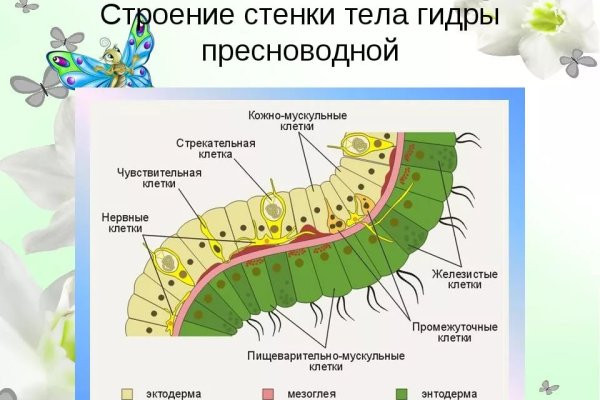 Сайт kraken darknet