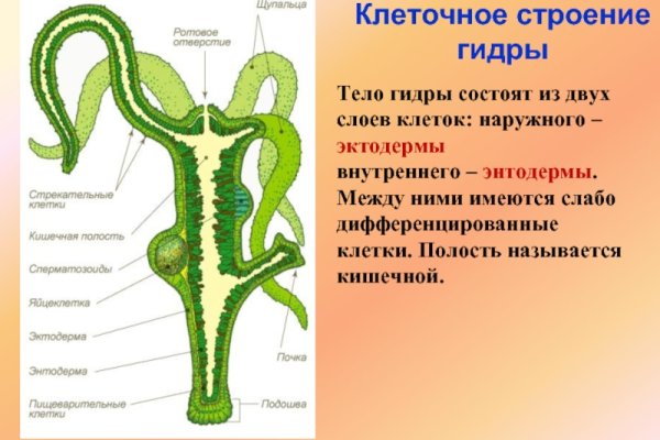 Сайт krn