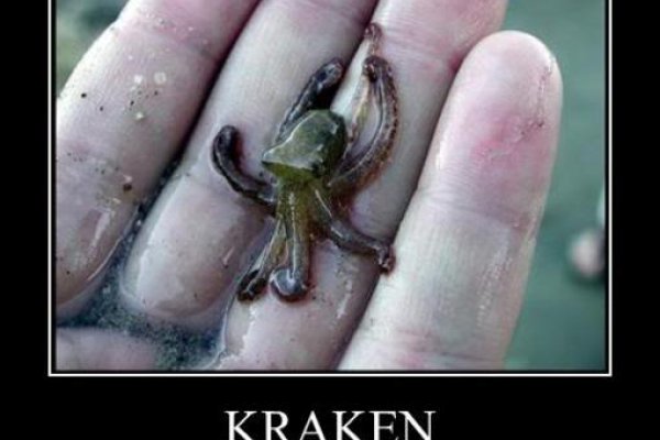 Kraken 12