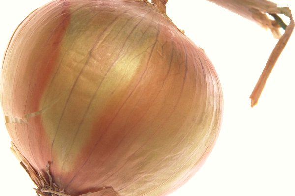 Даркнет маркет кракен onion