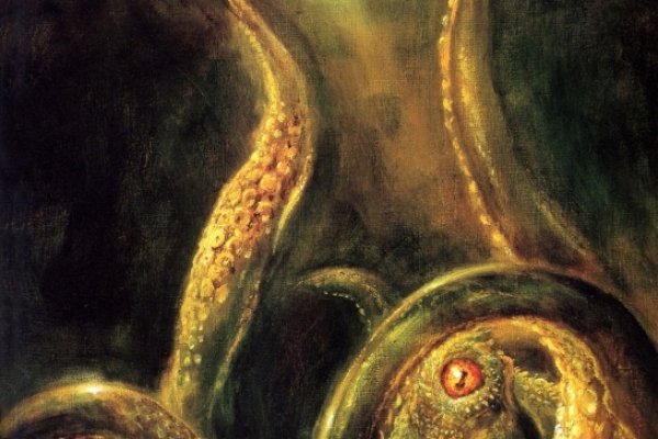 Kraken вход kraken torion