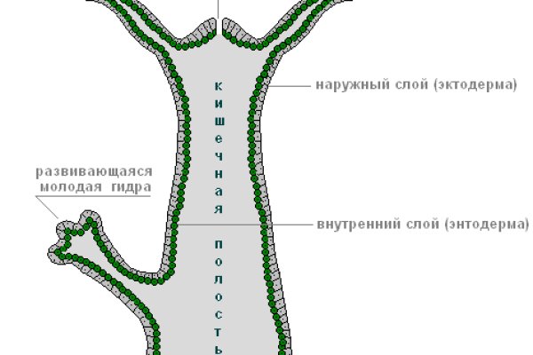 Как зайти в кракен с айфона