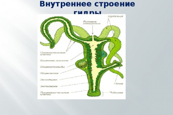 Кракен сайт покупок
