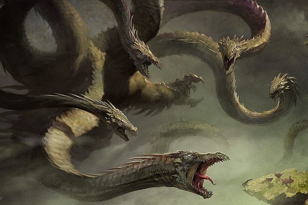 Kraken 12 at