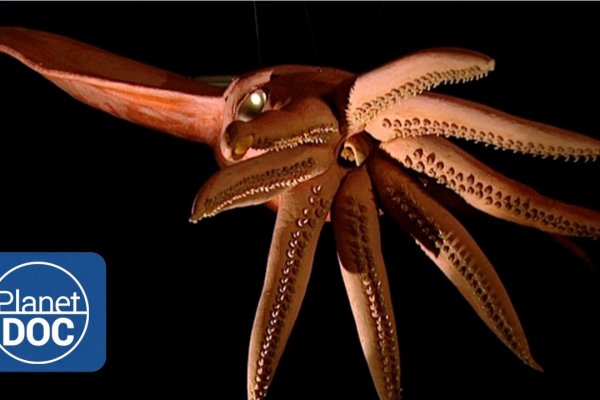 2kr pro kraken