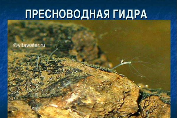 Кракен магазин ссылка